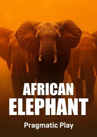 AfricanElephant Slot Pragmatic Play